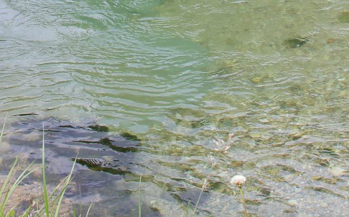 Garten mit Wasser